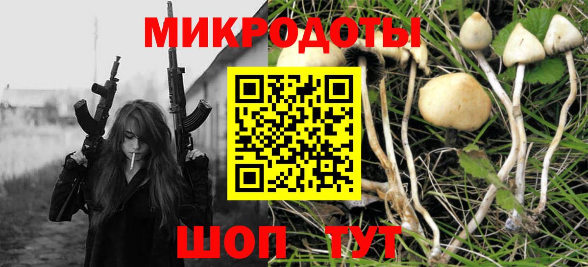 Галлюциногенные грибы GOLDEN TEACHER  хочу наркоту  Вход с VPN  Северск  Галлюциногенные грибы мухоморы 